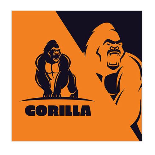 RAYBET雷竞技入口